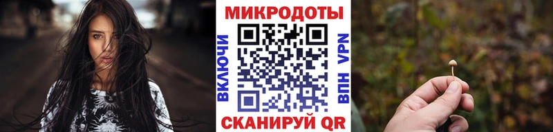 Купить закладки  Кохма  Псилоцибиновые грибы Cubensis 